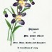 Extravagant engraving & printing (1890)