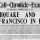 San Francisco: The day after the earthquake (1906)