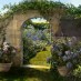 The Hamptons: Color images of Gray Gardens (1916)