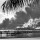 This day and time: Japan moves (1941)