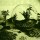 Terrariums: Gardens under glass (1971)