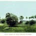 New golf club may render caddy obsolete (1900)