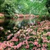 Bellingrath Gardens: Colorful remembrance of times past (1967)