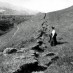 Predicting earthquakes (1913)