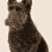 Jack, the diving dog (1896)
