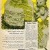 Easter cake with jelly beans & coconut (1958)