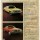 8 vintage Oldsmobile ads: Can we build one for you? (1970s)