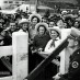The Golden Gate bridge opens