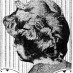 Fashionable hairstyles for the larger woman (1915)