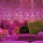 I Dream of Jeannie: Inside the bottle (1966)