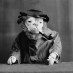 Four dressed-up bulldogs (1905)
