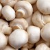 Mushroom stuffing recipe (1903)
