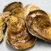 Oyster bisque recipe (1893)