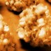 7 ways to make popcorn balls (1956)