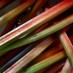 3 springtime rhubarb recipes (1908)