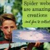 Collecting spider webs (1955)