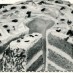 Tropical treat chiffon cake with pineapple-coconut icing (1950)