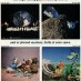View-Master… window to the world! (1964)