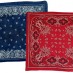 Bandana brings new fad (1922)