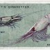 How to shell shrimp (1904)