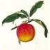 8 ways to cook with luscious peaches (1898)
