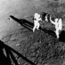 The first walk on the moon (1969)