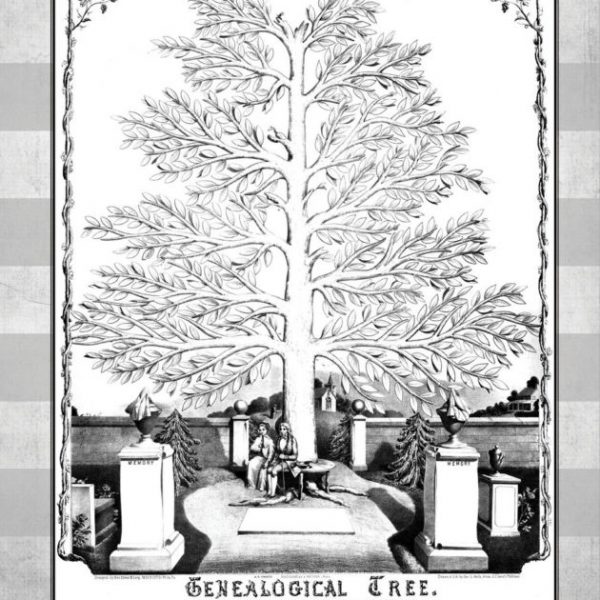 Click Americana s Shop Vintage Coloring Books And More 