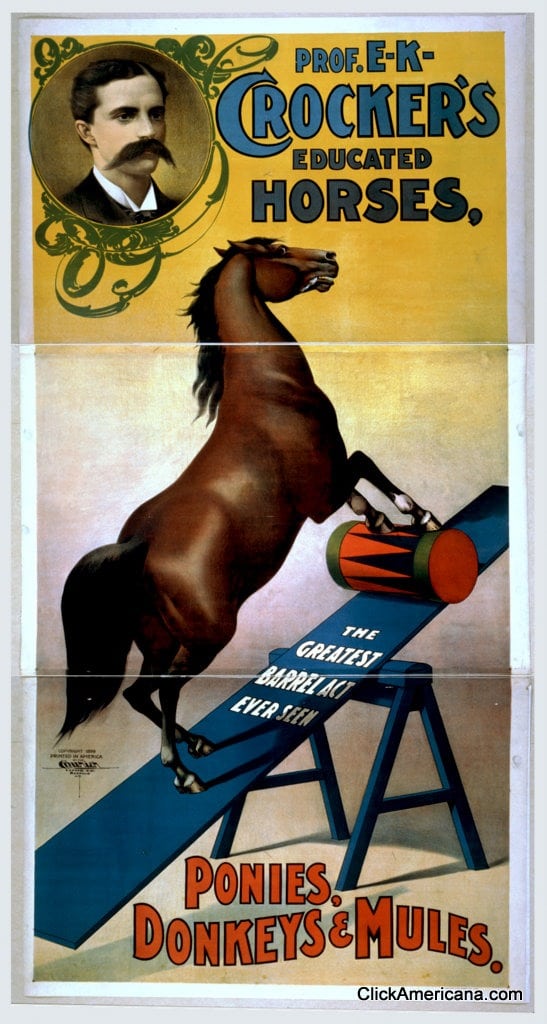 crockers-horses-1899 (1)