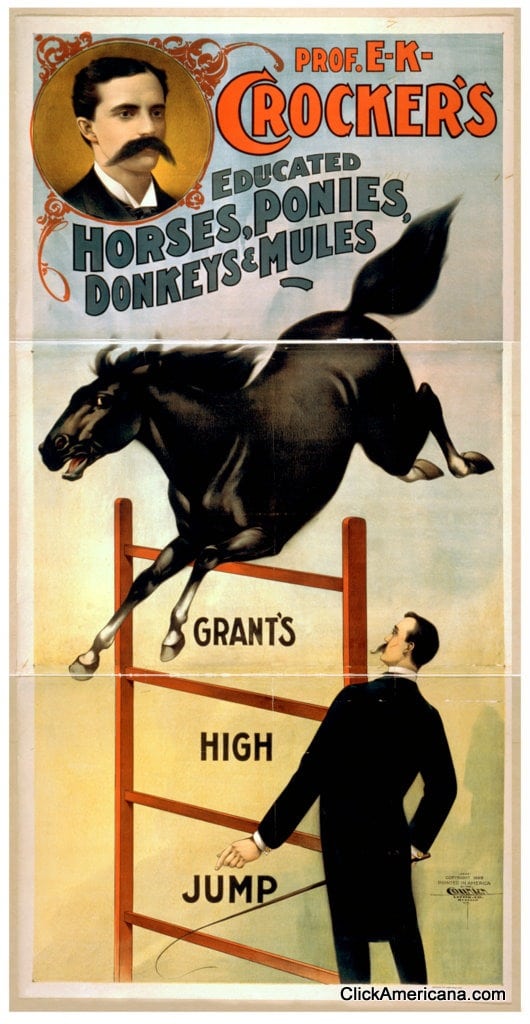 crockers-horses-1899 (3)