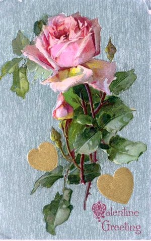 pink-rose-valentine-190x