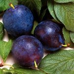 plums