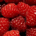 raspberries