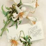 vintage-easter-postcard-lilies-1907