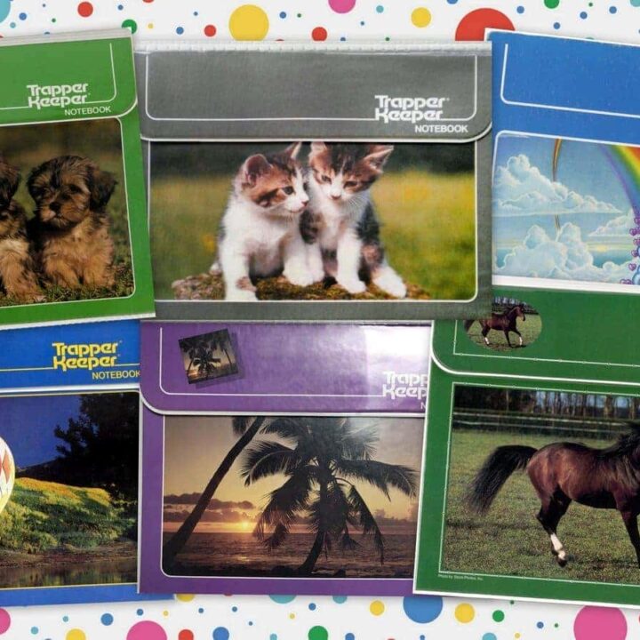 10 Trapper Keeper notebooks from the eighties