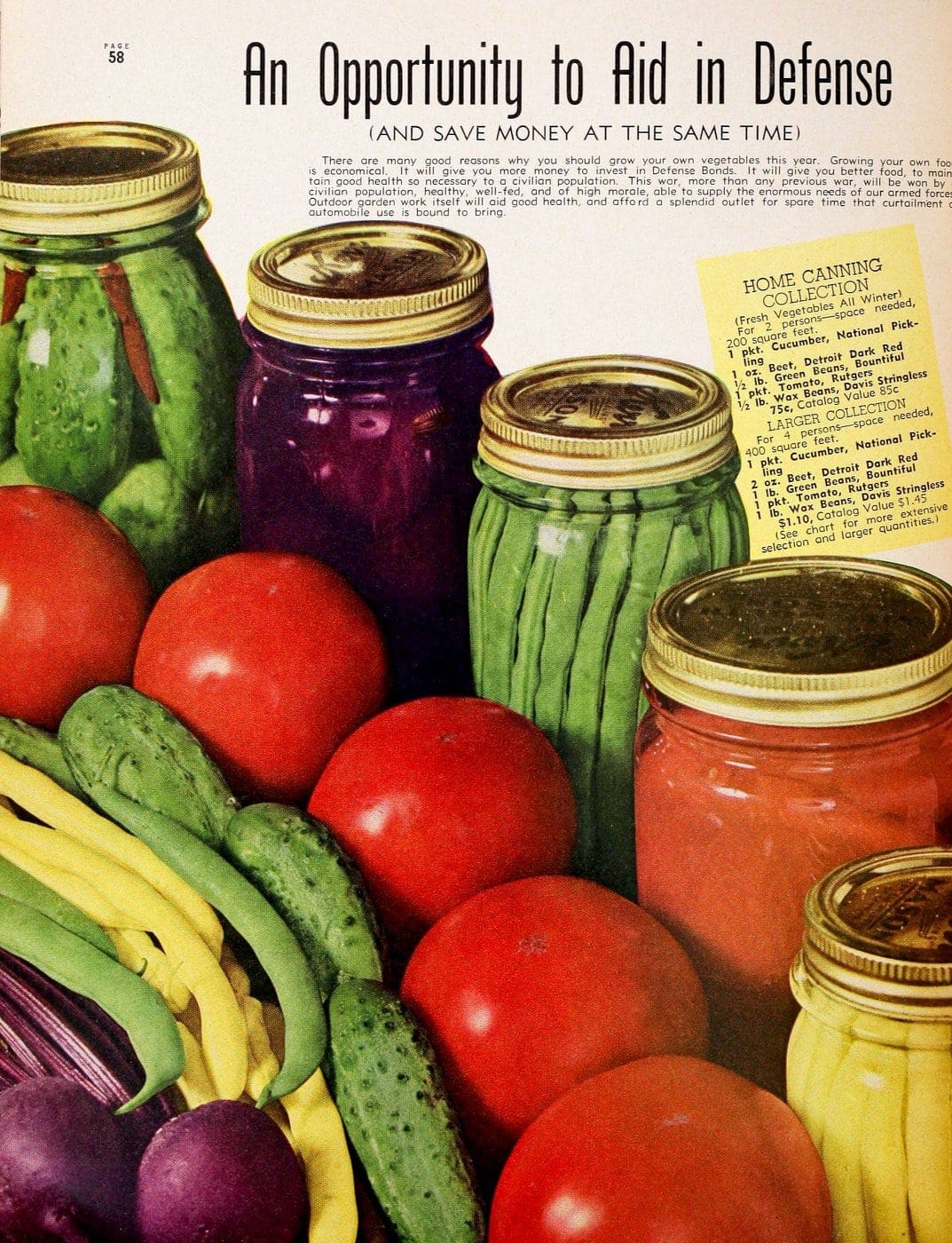 WWII Victory gardens from the 1940s: How people planted them, and how ...