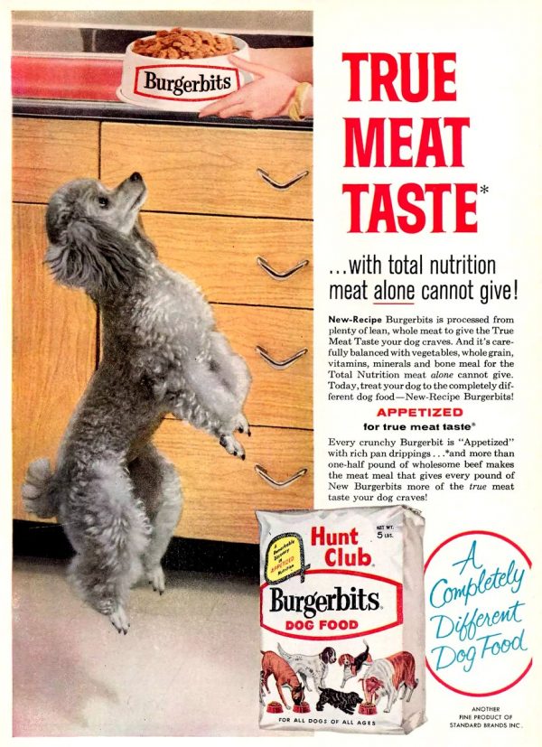 Vintage dog food 40 old ads let you see what's changed (and hasn't