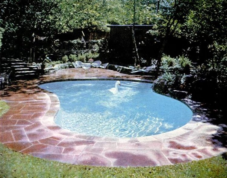 1960 backyard pools