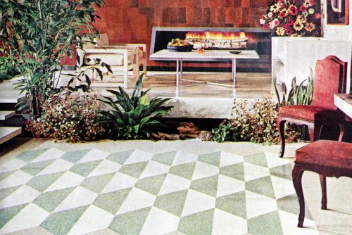 1960s Enchanting modern living room sleek look with natural charm