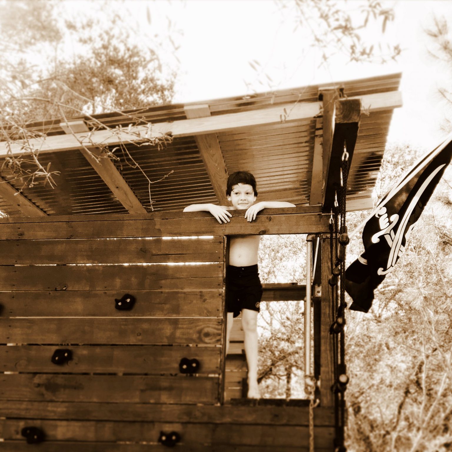 Oldfashioned treehouses See 20 fun forts built up in the branches