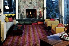 A mid-century modern home design