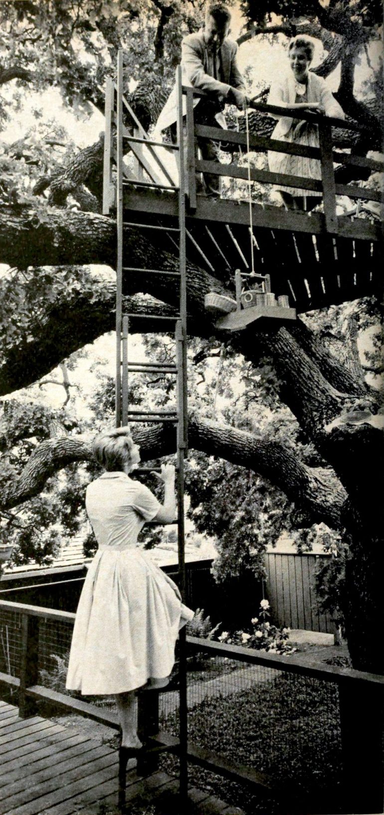 Oldfashioned treehouses See 20 fun forts built up in the branches