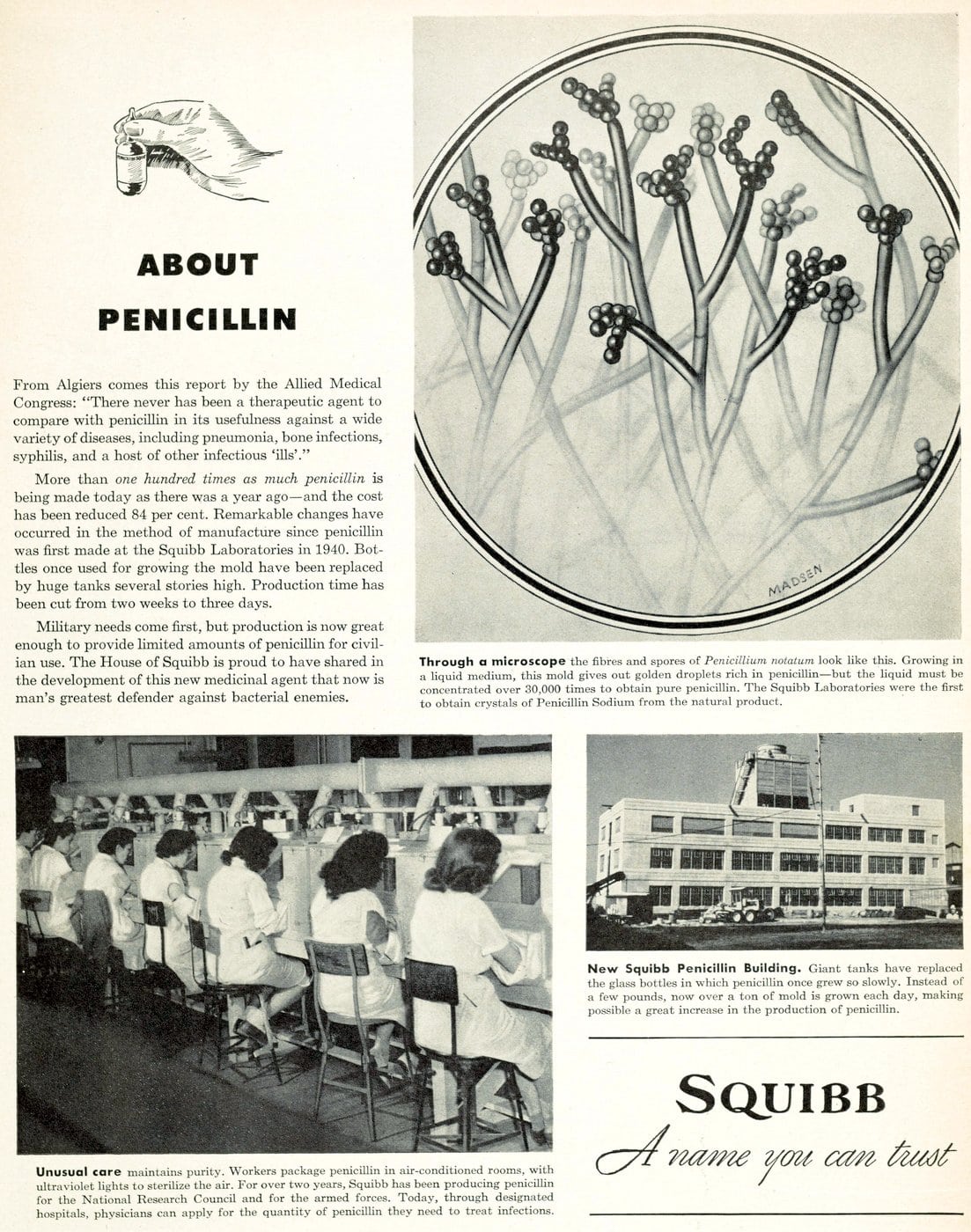 How penicillin was discovered, and how WWII let this miracle drug reach