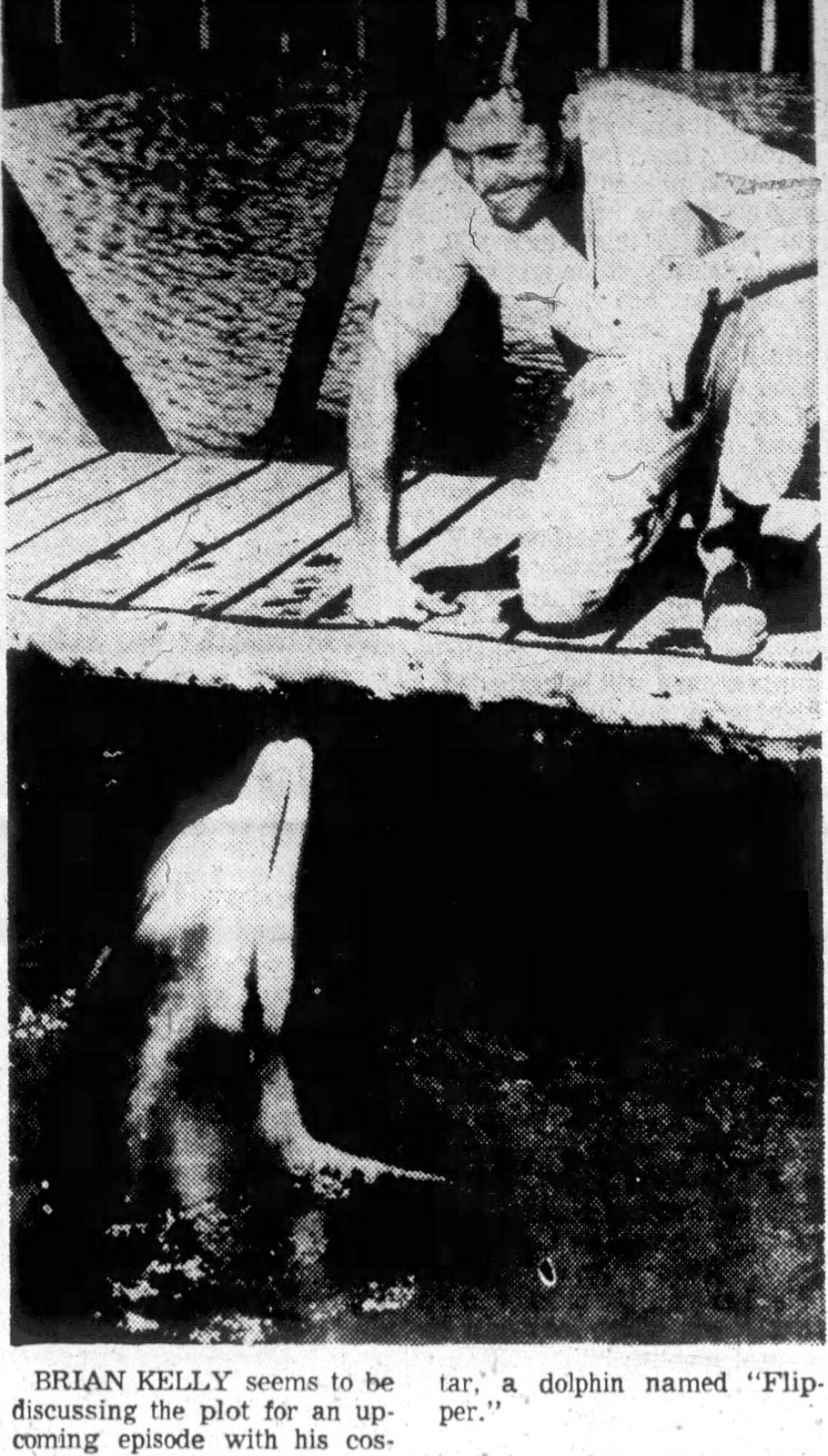Actor Brian Kelly and Flipper (1964) via ClickAmericana com