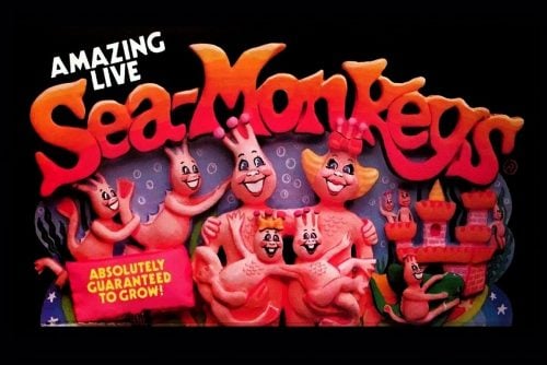 Amazing live Sea-Monkeys Instant pets