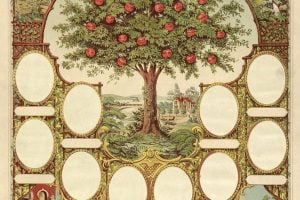 Antique family record - family tree chart for genealogy