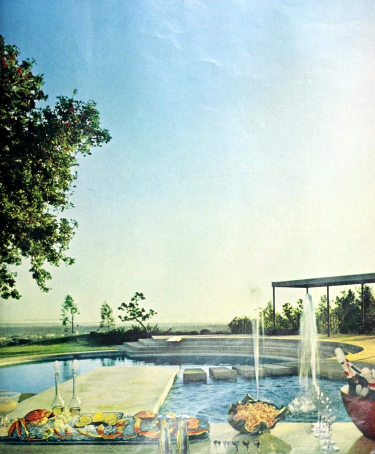 Beautiful classic swimming pool from 1961 (2)