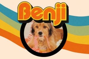 Benji the dog from the 1970s via ClickAmericana com