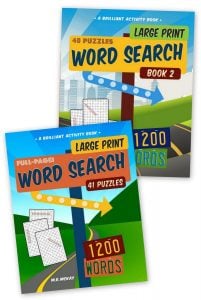 Big fun - Large print word search puzzles