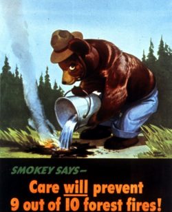 The story of Smokey Bear, and how only YOU could prevent forest fires