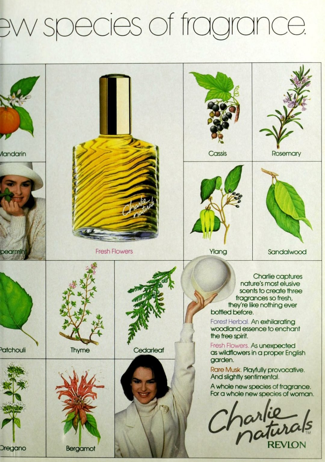 140 popular vintage perfumes from the 80s Click Americana